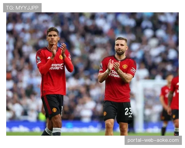 英超股东大会通过新议案，下赛季起将试行“橙牌”制度处罚临时罚下